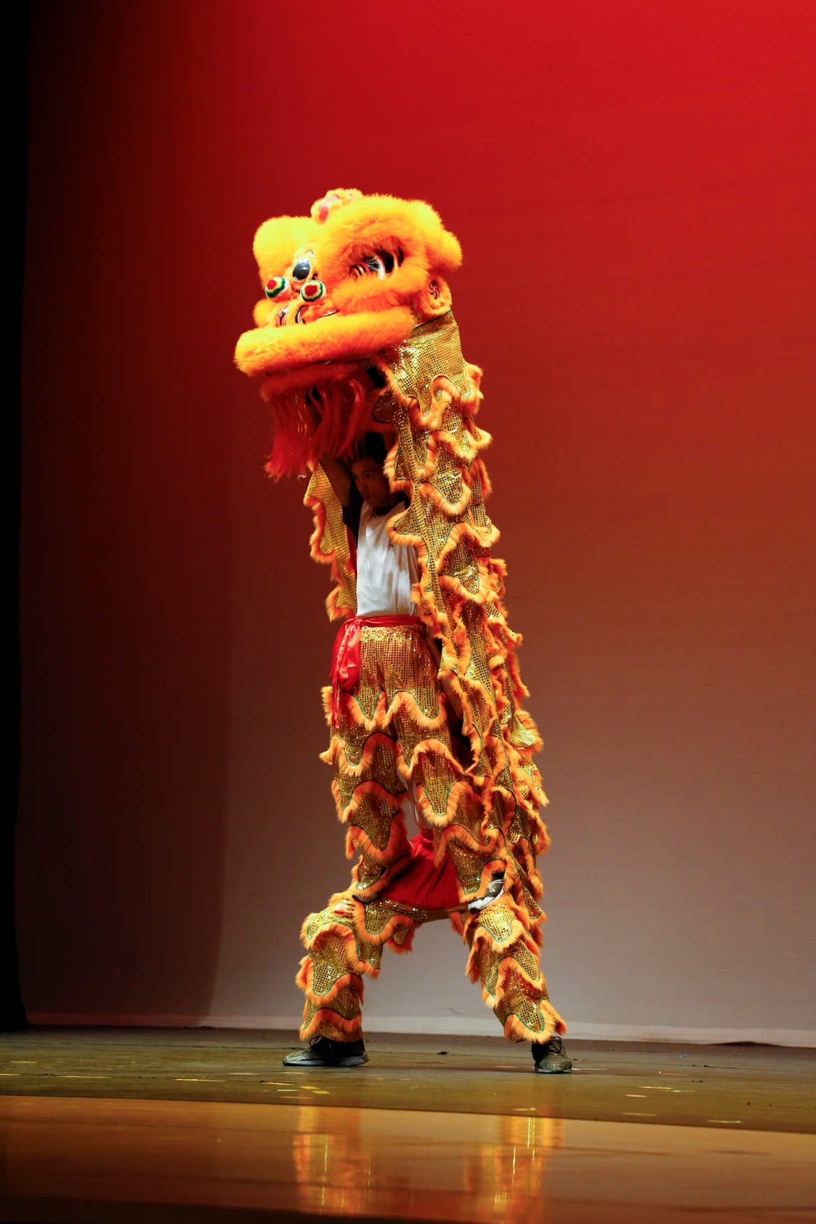 本校龍獅隊在全港公開龍獅藝錦標賽-獅藝地青組中榮獲優異獎 本校龍獅隊在全港公開龍獅藝錦標賽-獅藝地青組中榮獲優異獎